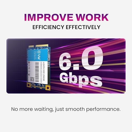 EVM 256GB mSATA Internal SSD | 3D NAND | Up to 520MB/s Read 500MB/s Write | Compact Laptop Upgrade Storage | 5 Year Warranty (EVMMS/256GB) - Image 3