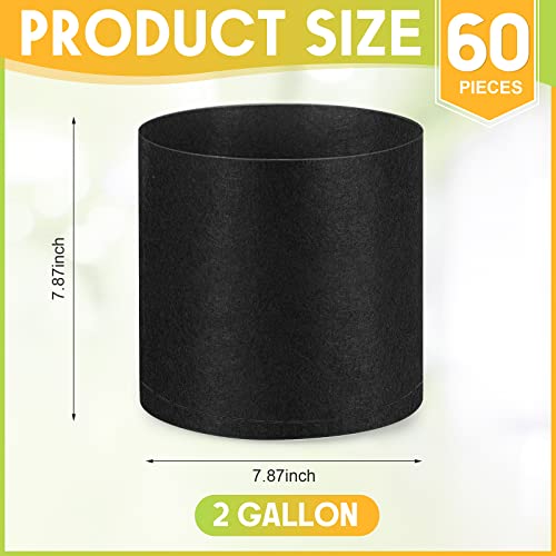 Nuanchu 60 Packs Grow Bags Bulk Aeration Fabric Pot with Handles Thickened Nonwoven Garden Bags to Healthy Root Growth Vegetables Heavy Duty Grow Pots Planting Planter for Flower Fruits (2 Gallon) - Image 2
