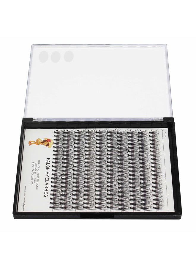 Bodermincer Large Tray 20D Cluster 0.07C,10 Lines,8-10-12-14mm Mixed,9-11-13-15mm Mixed, 10-12-14-16mm Mixed,Natural Long Individual Flare Lashes Cluster False Eyelashes (12-14-16mm Mixed)  - Image 4