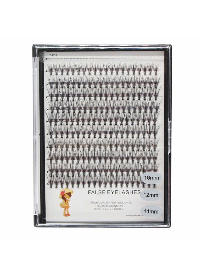 Bodermincer Large Tray 20D Cluster 0.07C,10 Lines,8-10-12-14mm Mixed,9-11-13-15mm Mixed, 10-12-14-16mm Mixed,Natural Long Individual Flare Lashes Cluster False Eyelashes (12-14-16mm Mixed)  - Image 1