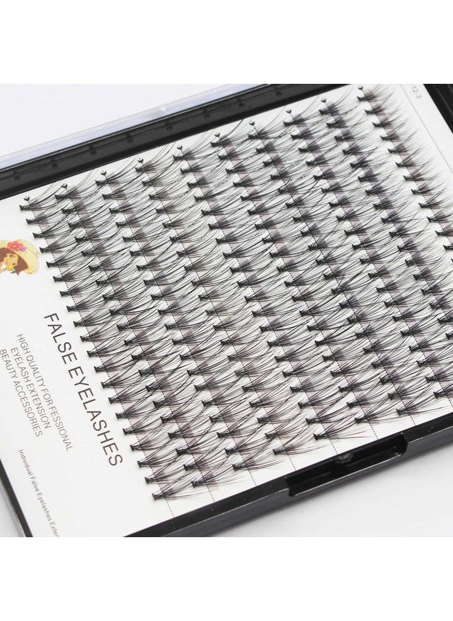 Bodermincer Large Tray 20D Cluster 0.07C,10 Lines,8-10-12-14mm Mixed,9-11-13-15mm Mixed, 10-12-14-16mm Mixed,Natural Long Individual Flare Lashes Cluster False Eyelashes (12-14-16mm Mixed)  - Image 5