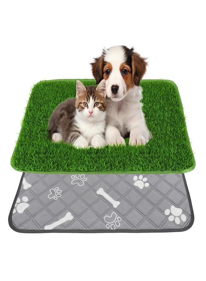 Micnaron Dog Grass Pad with Washable Pee Pad - 28"x18" Artificial Grass Puppy Training Mat, Non-Slip & Super Absorbent, Reusable Indoor/Outdoor Potty Solution for Small/Medium Dogs - Image 1