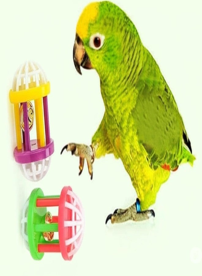 RoverPets Hollow Rolling Bell Ball Parrot Balls Toy Pet Bird Toy Parrot Chew Cage Fun Toys Parakeet Cockatiel Pet Toy for Lovebird Dog Puppy Cat- 2 Pcs Pack (Small, Cylinder & Round Ball) - Image 1