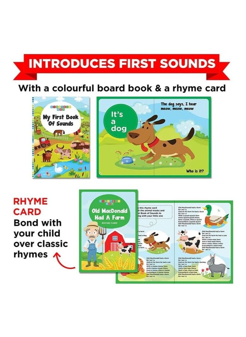 Einstein Box EINSTEIN BOX Einstein Box For 1 Year Old Boys/Girls | Toys | Board Books And Pretend Play | Learning And Educational Toys & Games (1 Box Set) (Medium Multicolor)  - Image 5