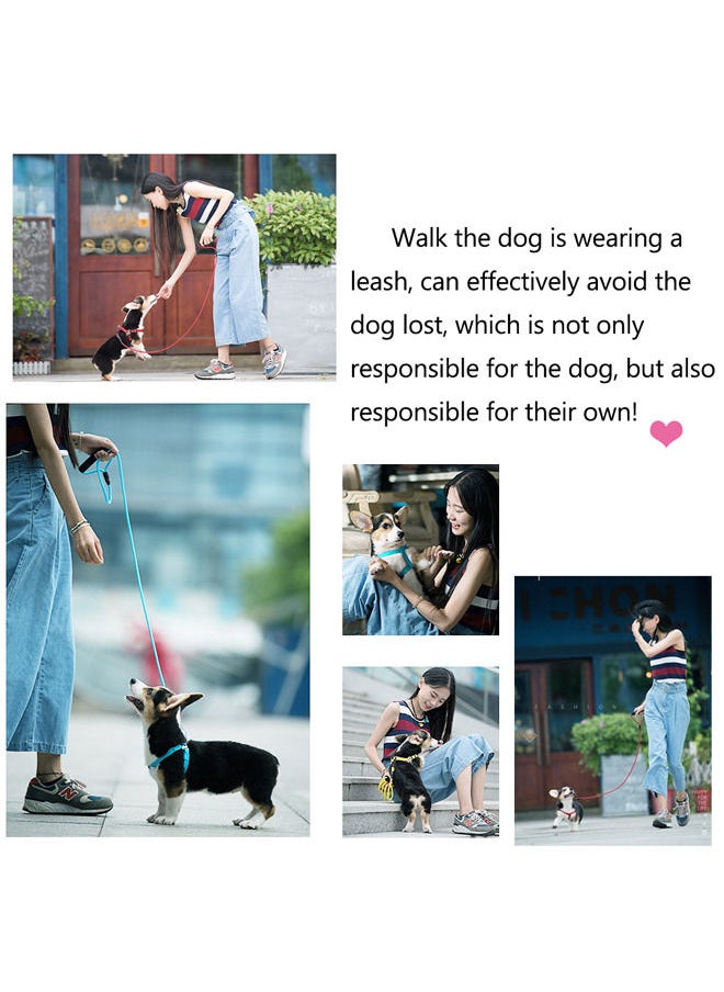 Neostyle Dog Harness,Dog Collar and Dog Leash Set,Adjustable Lightweight Pet Harness & Leash,Soft Walking Travel Petsafe Harness,Suitable for Medium and Small Cat and Dogs(Black(3-piece set))  - Image 5