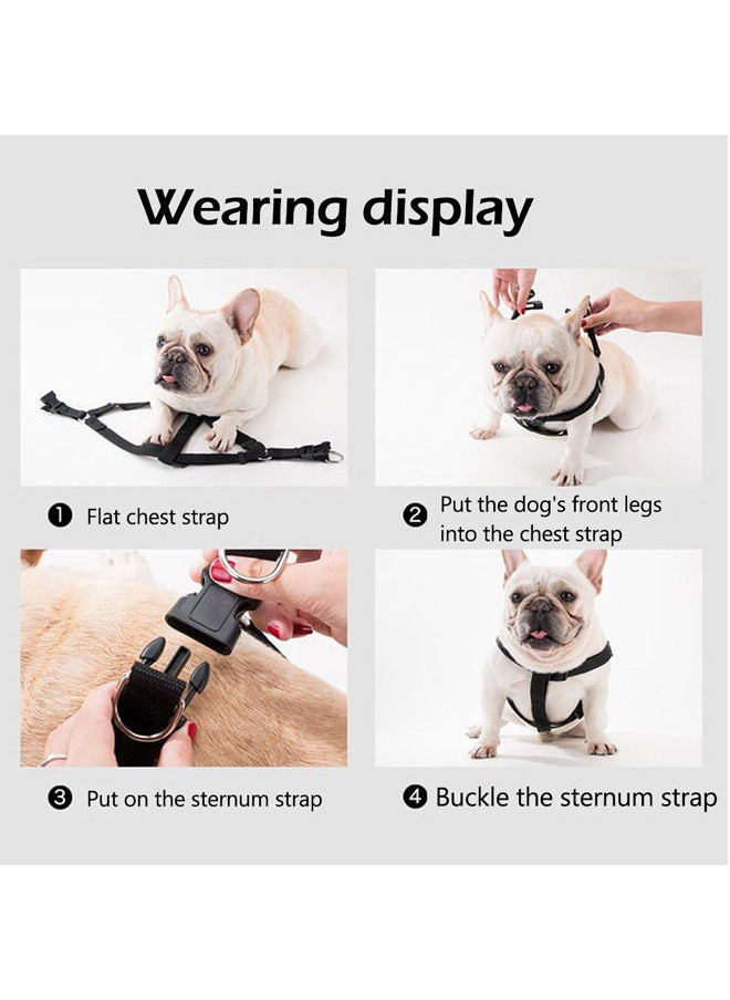 Neostyle Dog Harness,Dog Collar and Dog Leash Set,Adjustable Lightweight Pet Harness & Leash,Soft Walking Travel Petsafe Harness,Suitable for Medium and Small Cat and Dogs(Black(3-piece set))  - Image 4