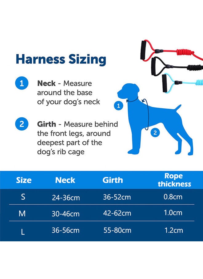 Neostyle Dog Harness,Dog Collar and Dog Leash Set,Adjustable Lightweight Pet Harness & Leash,Soft Walking Travel Petsafe Harness,Suitable for Medium and Small Cat and Dogs(Black(3-piece set))  - Image 3