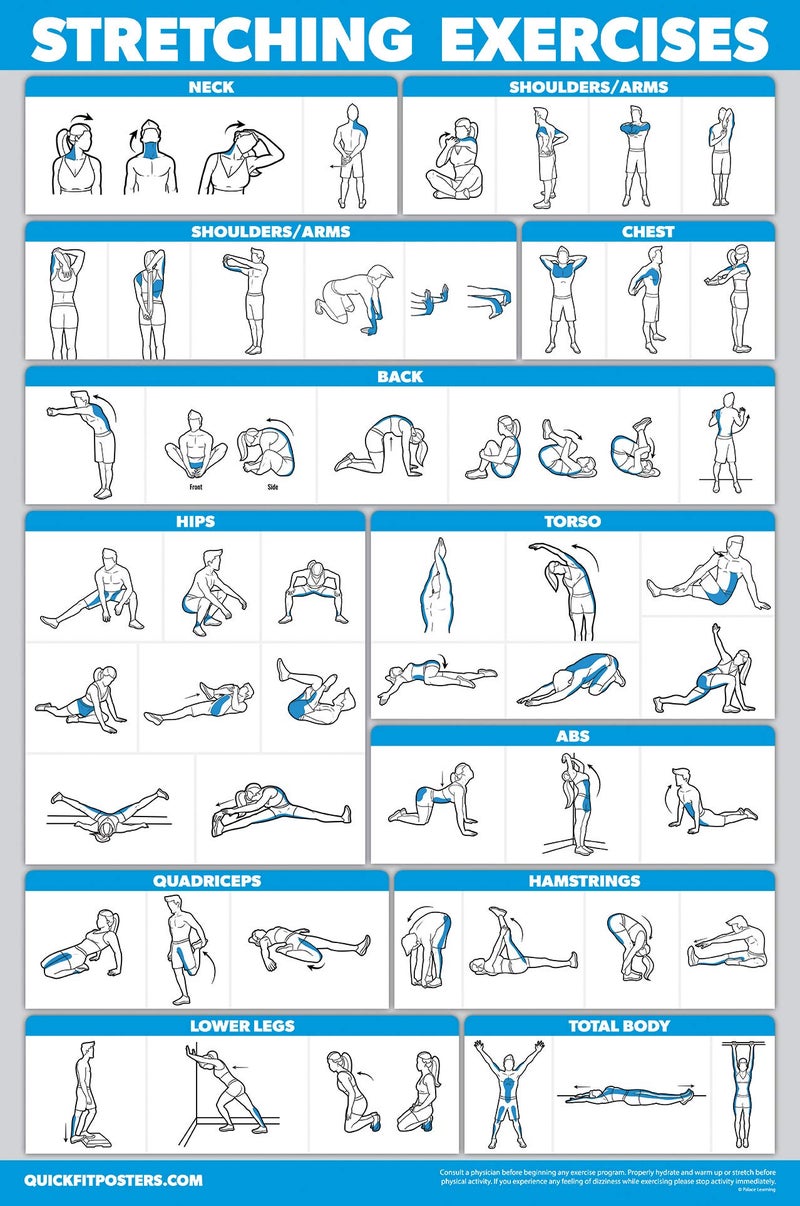 Palace Learning QUICKFIT Stretching Workout Exercise Poster - Stretch Routine (Laminated, 18" x 27") - Image 1