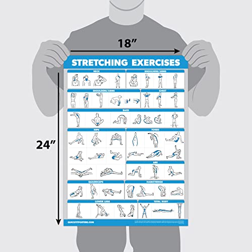 Palace Learning QUICKFIT Stretching Workout Exercise Poster - Stretch Routine (Laminated, 18" x 27") - Image 3