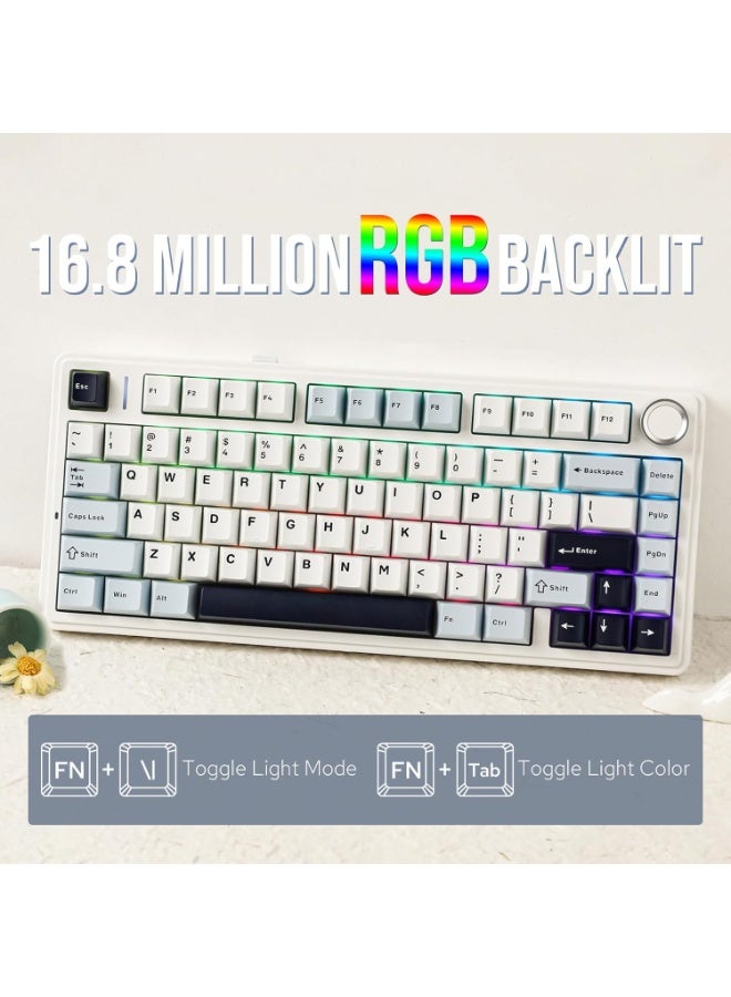 AULA F75 LK Mechanical Gaming Keyboard - 75% Hot-Swapping with Gasket Mounting System - 3-Mode (Bluetooth 5.0/2.4G/USB-C) - Five-Layer Padding - RGB Lighting - Ultra-Fast Response for PC/Mac - Light Blue - Leopog Reaper Switches - Image 3