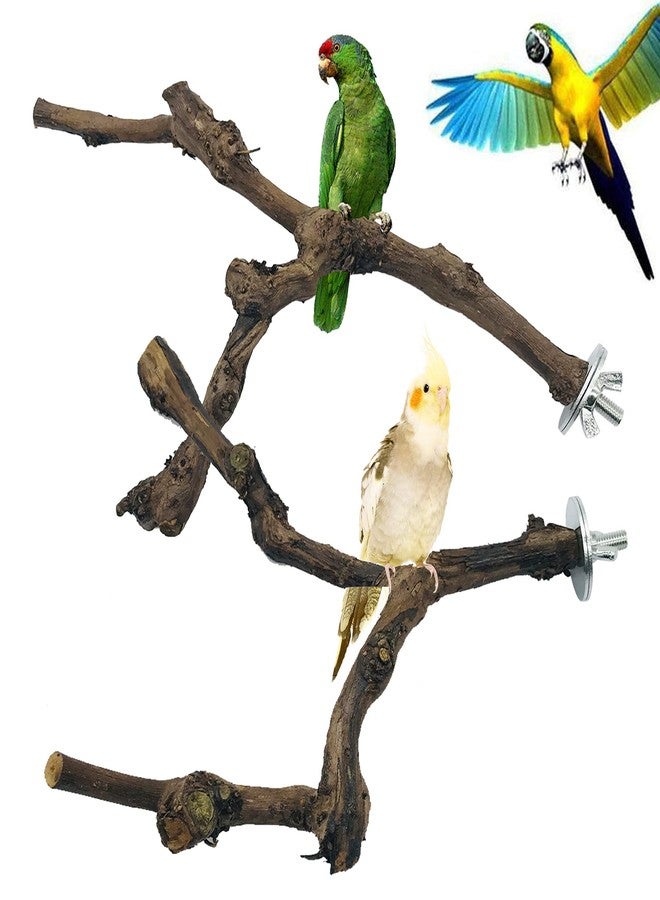 Allazone 4-Piece Bird Perch - Natural Grapevine Stick Swing Chewing Toys for Parrot Cages, Cockatiels, Parakeets, Finches - Image 2