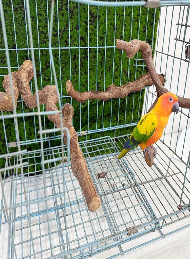 Allazone 4-Piece Bird Perch - Natural Grapevine Stick Swing Chewing Toys for Parrot Cages, Cockatiels, Parakeets, Finches - Image 3