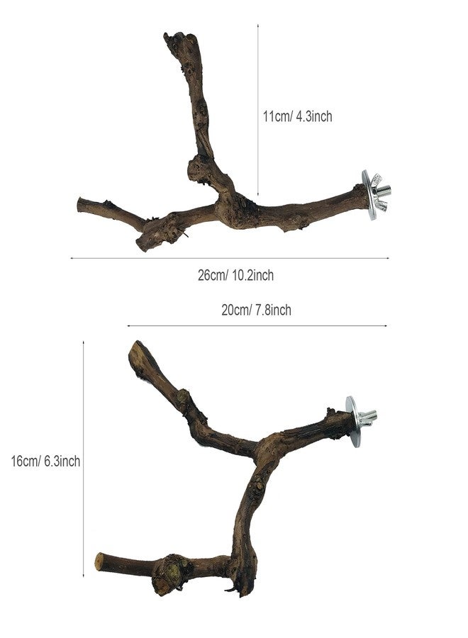 Allazone 4-Piece Bird Perch - Natural Grapevine Stick Swing Chewing Toys for Parrot Cages, Cockatiels, Parakeets, Finches - Image 5