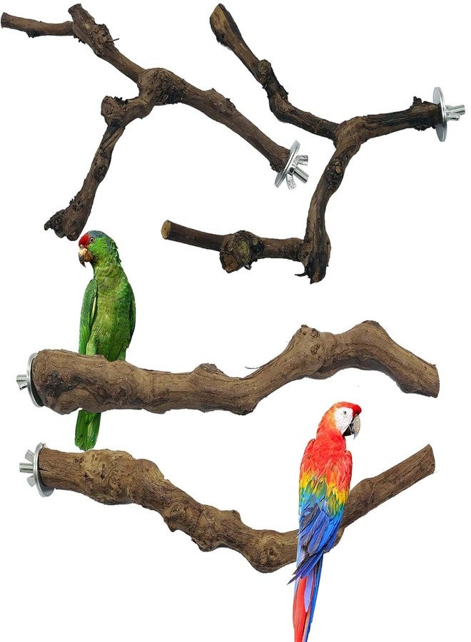 Allazone 4-Piece Bird Perch - Natural Grapevine Stick Swing Chewing Toys for Parrot Cages, Cockatiels, Parakeets, Finches - Image 1