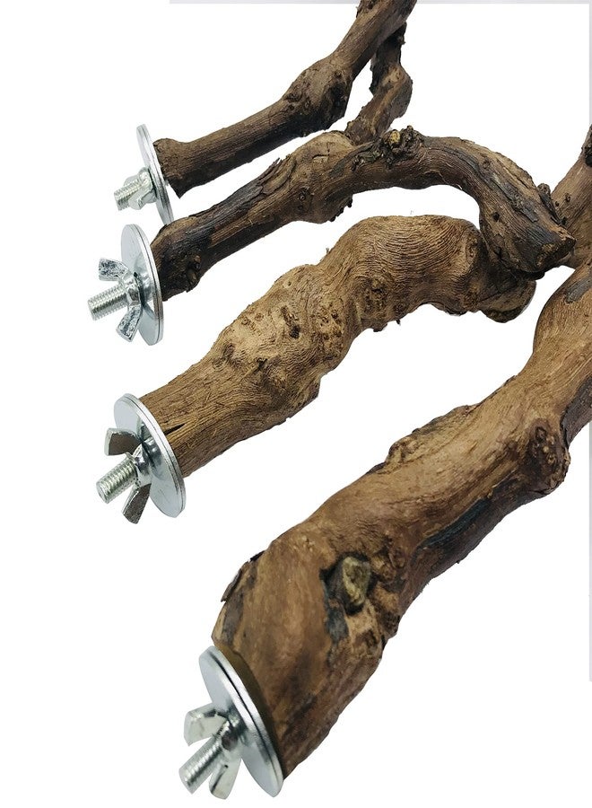 Allazone 4-Piece Bird Perch - Natural Grapevine Stick Swing Chewing Toys for Parrot Cages, Cockatiels, Parakeets, Finches - Image 4