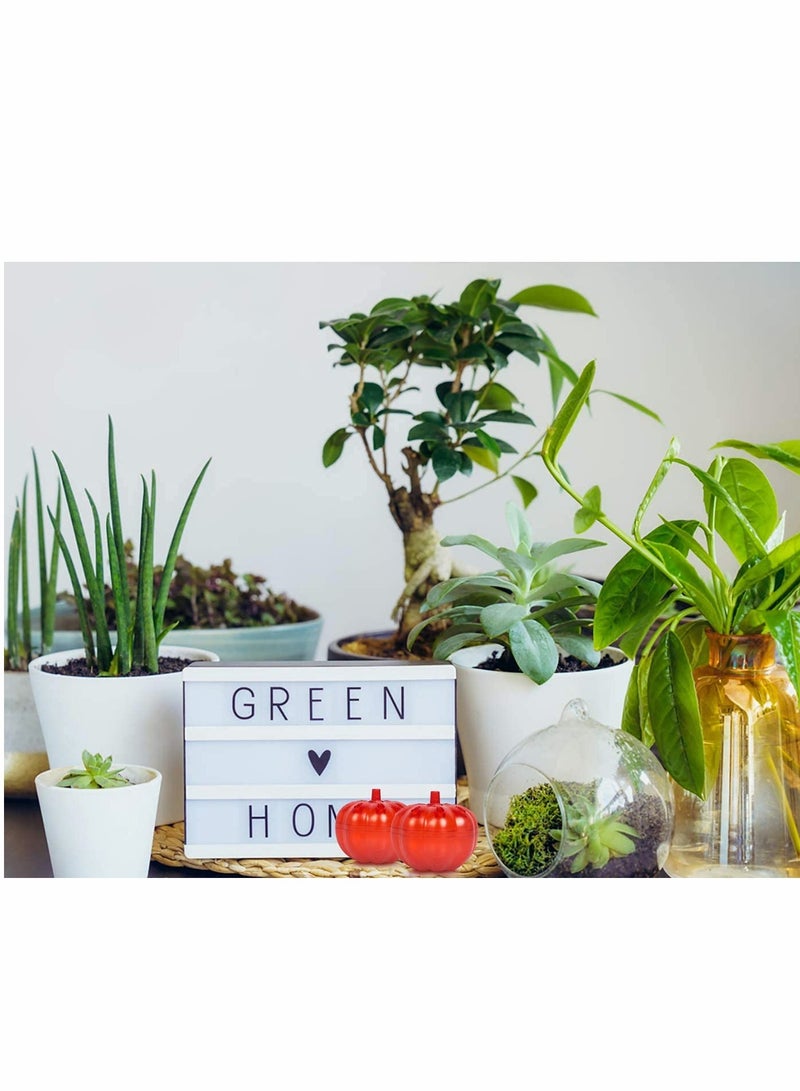 KASTWAVE فخ الطيران 2 عبوة فخاخ ذبابة الفاكهة فخ ذبابة صغيرة داخلية للمنزل/المطبخ قاتل الذباب للداخل/النباتات فخ الذباب للمنزل قاتل الذباب للداخل - Image 3