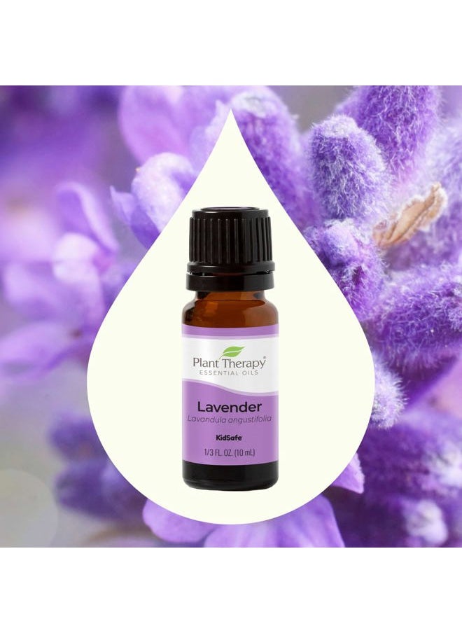 Plant Therapy Lavender Essential Oil 100% Pure, Undiluted, Therapeutic Grade, Aromatherapy Diffuser for Relaxation and Body Care, Healthy Skin and Hair, 10 mL (1/3 oz)  - Image 4