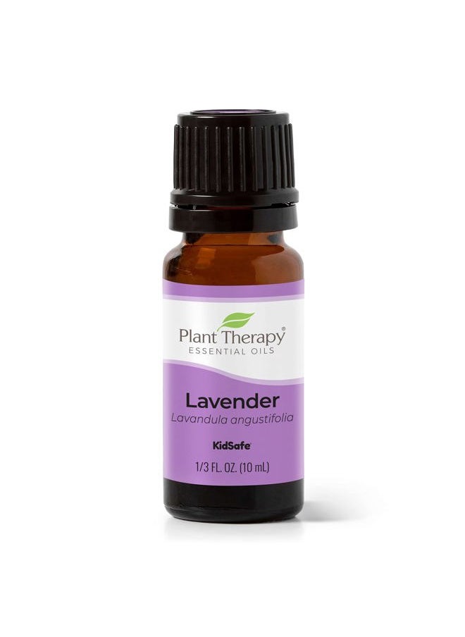 Plant Therapy Lavender Essential Oil 100% Pure, Undiluted, Therapeutic Grade, Aromatherapy Diffuser for Relaxation and Body Care, Healthy Skin and Hair, 10 mL (1/3 oz)  - Image 1