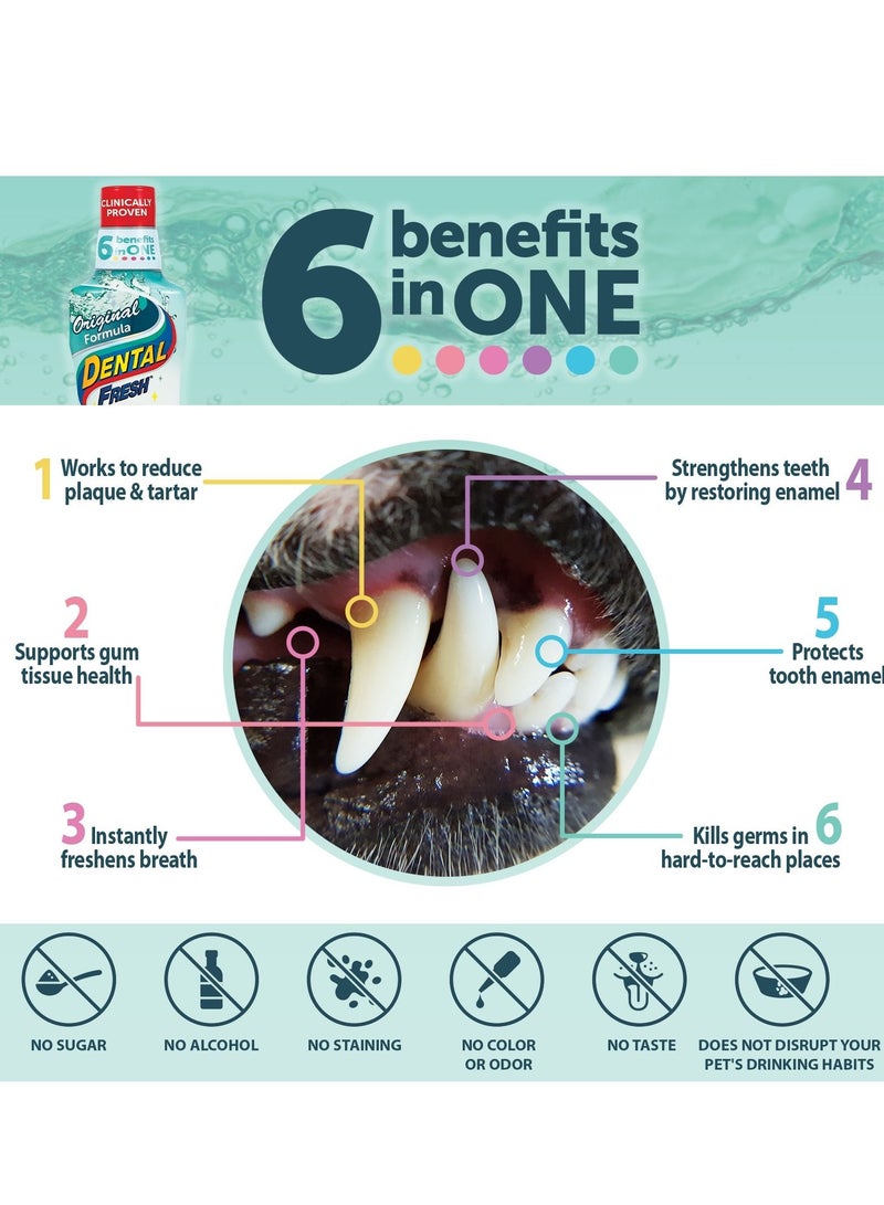 SynergyLabs Original Formula Dental Fresh For Cats And Dogs 503Ml - Image 3