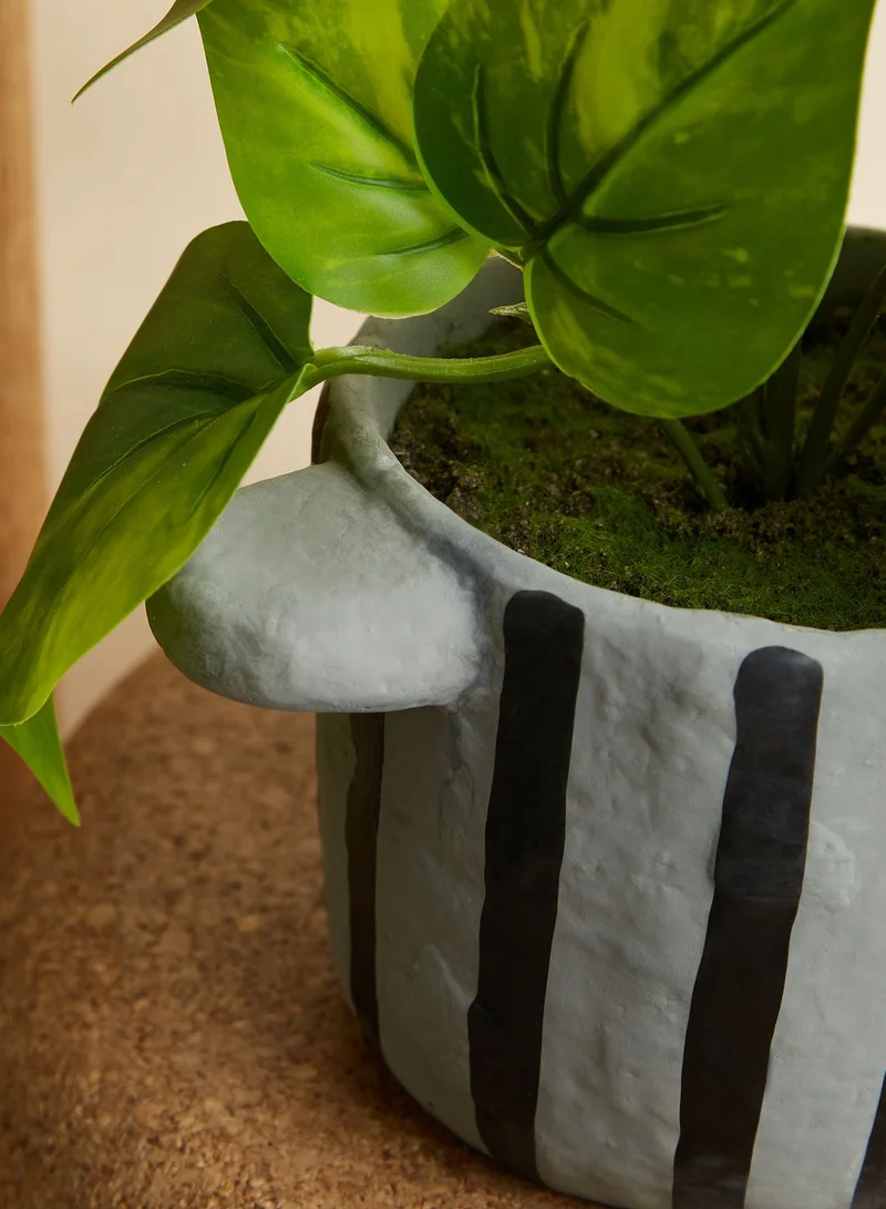 Premier Fiori Faux Devils Ivy In Stripe Pot