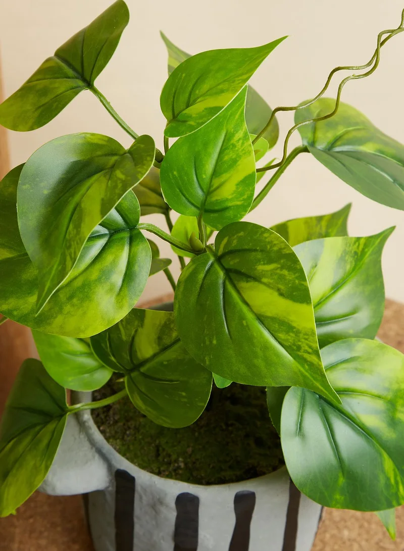 Premier Fiori Faux Devils Ivy In Stripe Pot