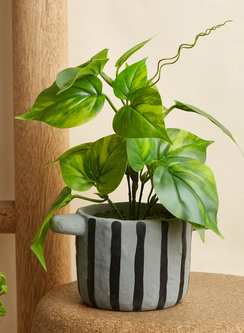 Premier Fiori Faux Devils Ivy In Stripe Pot