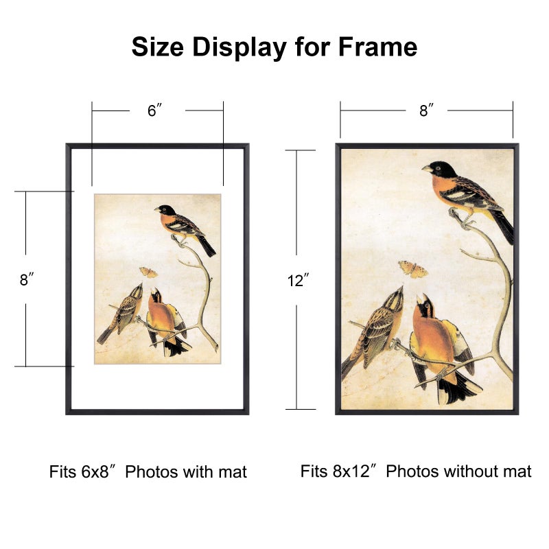 BKABOT 8x12 Picture Frame  Black Metal Photo Frames with HD Glass  Fits 6x8 with Mat or 8 x 12 without Mat  Display for Wall and Table  1 Pack - Image 2