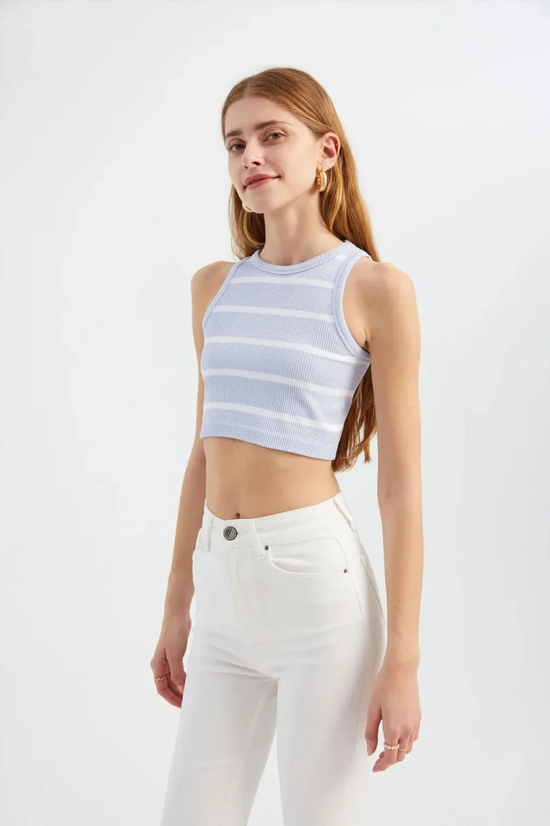Hiccup Striped Crew Neck Crop Top