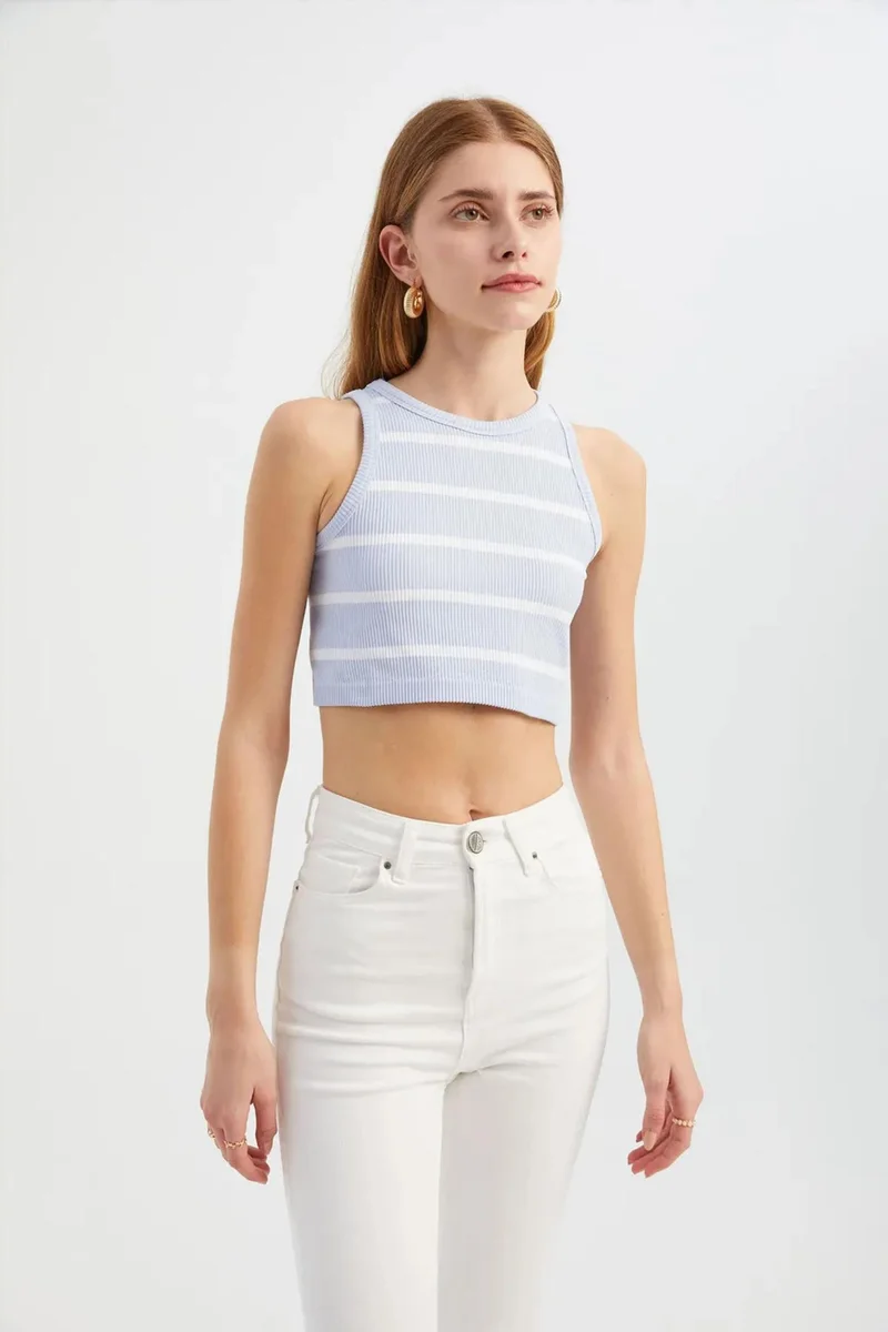 Hiccup Striped Crew Neck Crop Top