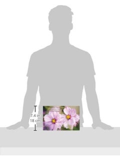 Card Box of 20 Notecards and Envelopes: Pink Cosmos  - Image 2