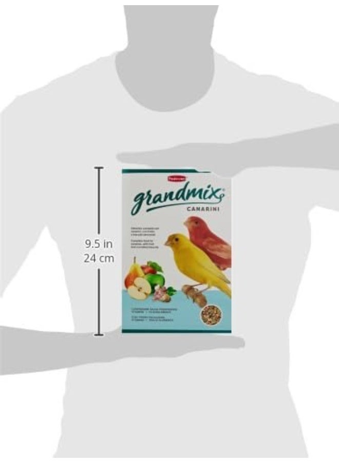Padovan GrandMix Canarini Bird Food 1 kg - Image 2