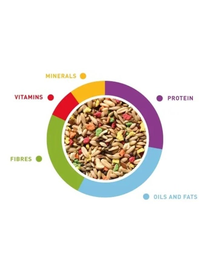 Padovan GrandMix Canarini Bird Food 1 kg - Image 3