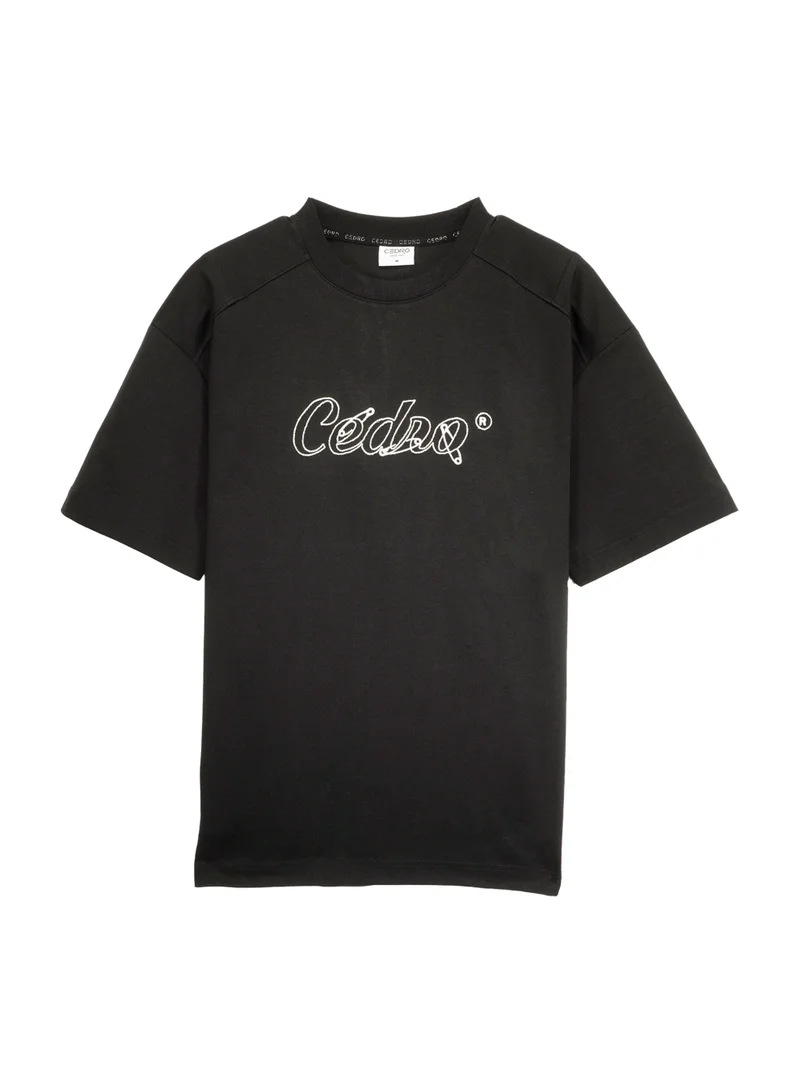 Cedro CEDRO Men's Streetwear Oversized Fit Cotton Rich Embroidery Crew Neck T-Shirt