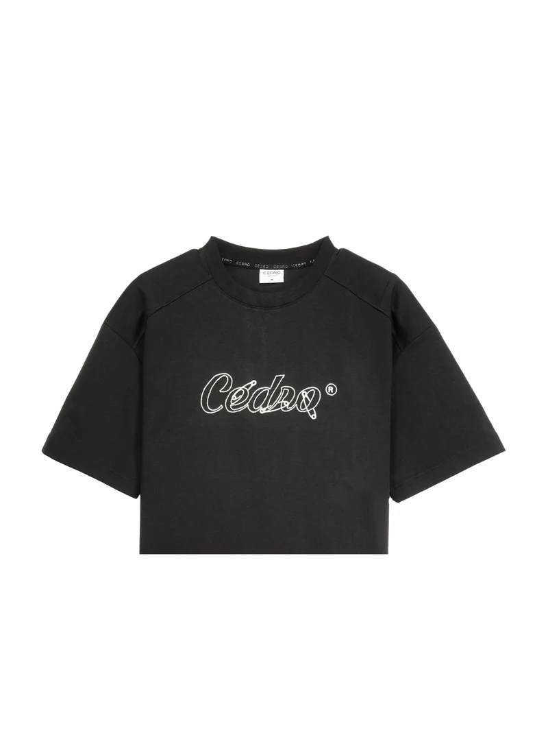 Cedro CEDRO Men's Streetwear Oversized Fit Cotton Rich Embroidery Crew Neck T-Shirt