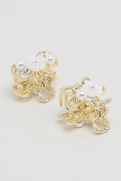 أر أند بي 2 Piece Mini Claw Clips