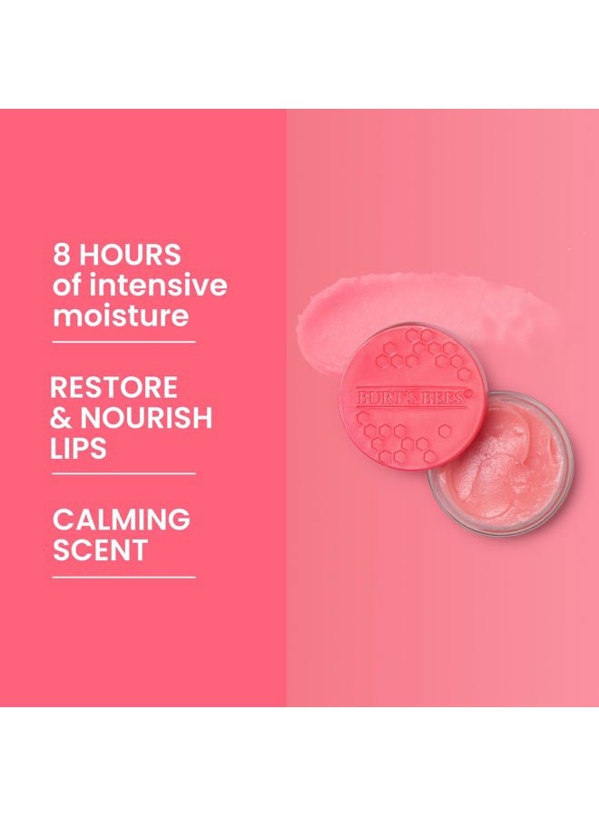 Burt's Bees قناع النوم للشفاه ليلاً، 0.25 أونصة - مرطب، مرطب، مقشر، يقلل من الخطوط الدقيقة، مدعم بالسيراميد، برائحة فاكهة العاطفة - Image 5