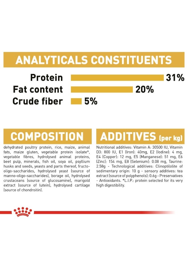 رويال كانين تغذية سلالة القطط من قطط مين كون الصغيرة بوزن 2 كجم - Image 3