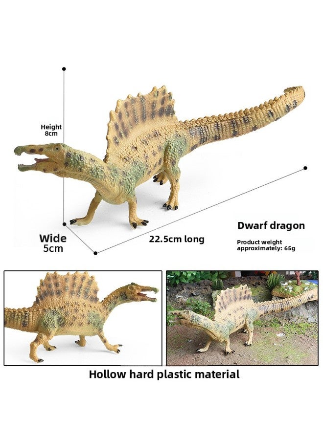 Dinosaur Toy Tyrannosaurus Rex Southern Giant Dragon Brachiosaurus Canglong Canglong Coxosaurus Spinosaurus Simulation Animal Model