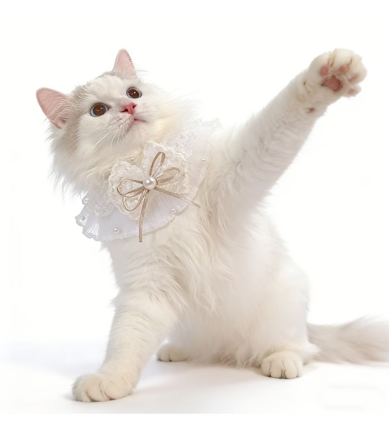 Purple Lightweight Lace Trim Scarf With Bow And Faux Pearl Accents For Cats And Dogs - Image 5