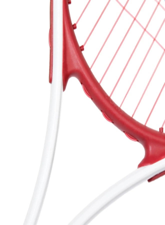 دولفي مضارب تنس دولفي الترفيهية للكبار | مضارب تنس خفيفة الوزن للغاية للطلاب والتدريب والمبتدئين مع مقابض إضافية وحقيبة حمل | ألعاب خارجية (25 بوصة) - أحمر - Image 5