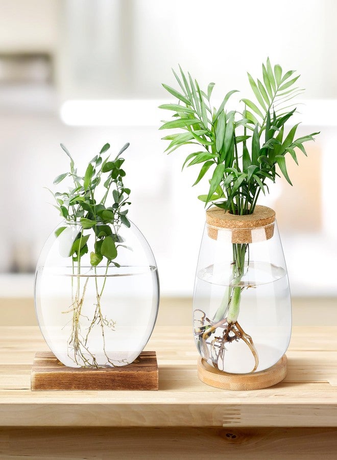 Layhit مجموعة لايهيت المكونة من 4 قطع من محطات تكاثر النباتات، عبارة عن مزهرية زجاجية منفصلة لزراعة النباتات على سطح المكتب مع غطاء خشبي وحامل من الخيزران، مناسبة للزراعة المائية، لتزيين سطح المكتب المنزلي أو المكتبي (تصميم لطيف). - Image 5