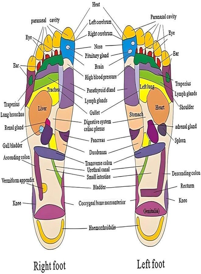 PRAMANTA (41-42 Health & Beauty Men's and Women's Acupressure Slipper - Image 3
