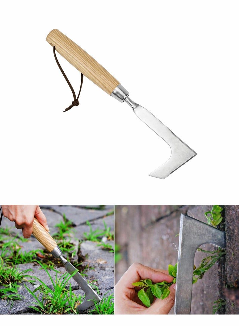 إكسفور Paver Weeder Paver Weed Removal Tool - Image 1