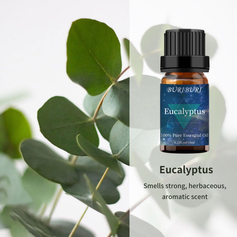 BURIBURI Eucalyptus Oil and Lavender Essential Oil Set 2 Pack, 100% Pure Diffuser Oil Eucalyptus Essential Oil for Massage, Soap Making - Image 3