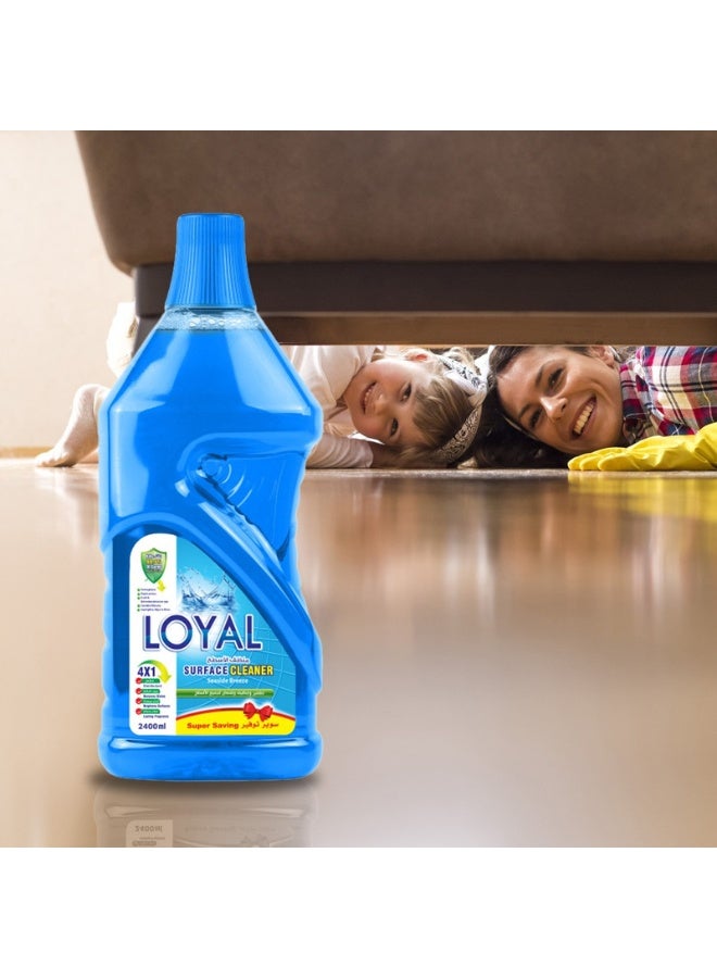 loyal Surface Cleaner Sea Breeze with Disinfectant with Lasting Fragrance - 800 ml - Image 4