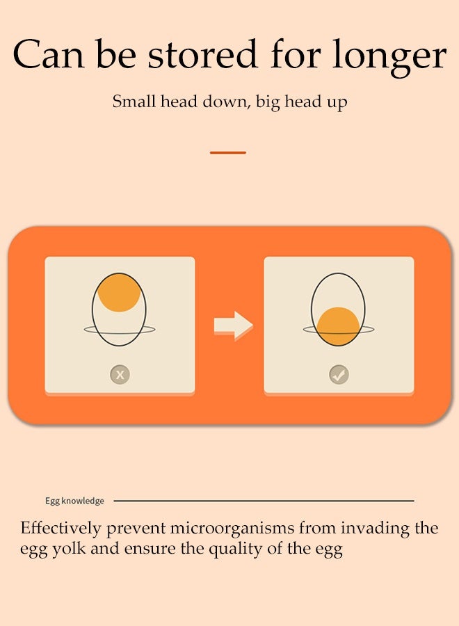 DUNISO 32 Grid Egg Holder for Refrigerator,2 Layers Egg Fresh Storage Box for Fridge,Drawer Egg Storage Container,Shockproof,Drop-Proof and Stackable,for Fridge Home Kitchen - Image 3