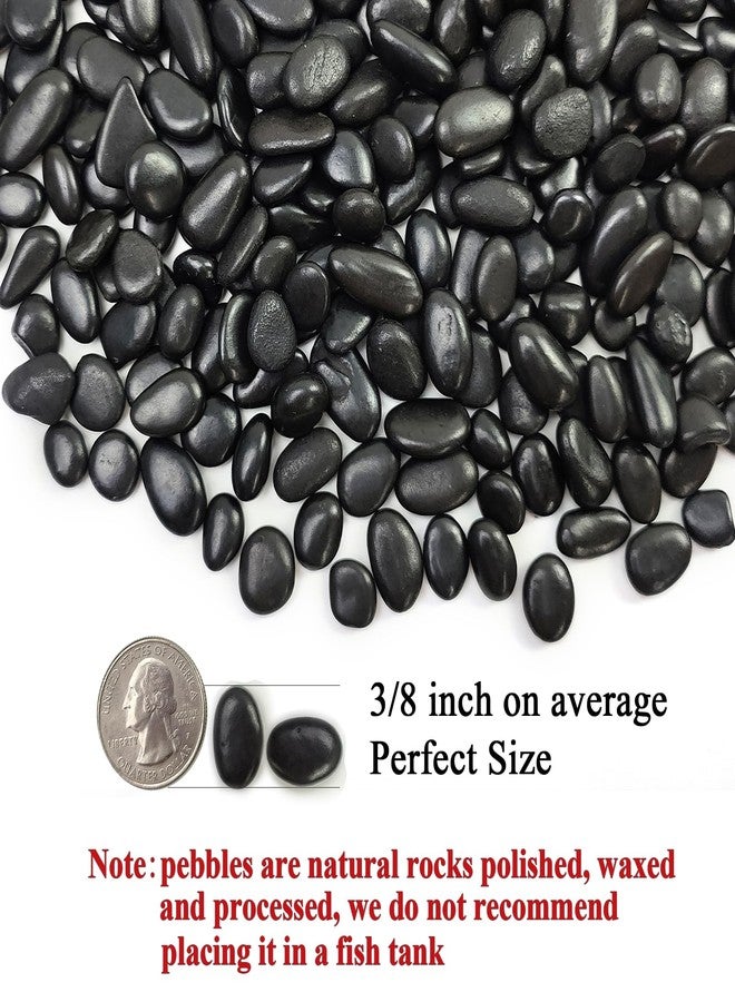 FANTIAN Black Pebbles for Indoor Plants, 3/8 inch Small Bag Stones, Decorative River Rocks for Succulent Potted Plant, Vase and Outdoor Landscaping Garden(16 oz) - Image 2