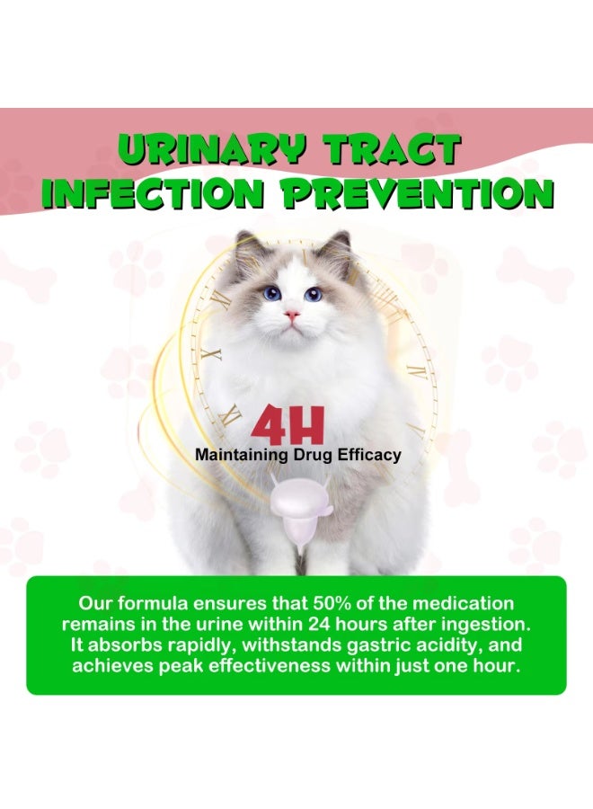 Oimmal علاج المسالك البولية للقطط 60 مل، علاج عدوى المسالك البولية للقطط، المسالك البولية للقطط مع مستخلص التوت البري - Image 3