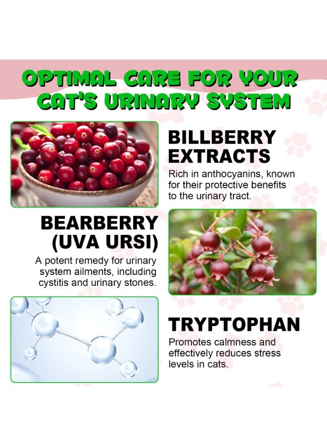 Oimmal علاج المسالك البولية للقطط 60 مل، علاج عدوى المسالك البولية للقطط، المسالك البولية للقطط مع مستخلص التوت البري - Image 5