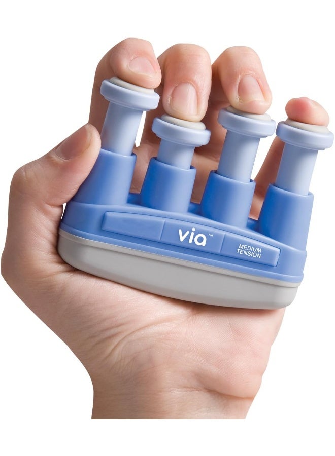Prohands VIA VM13102 6 lb Medium Tension Hand and Finger Exerciser - Blue - Image 1